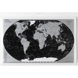 Mappa del mondo poster di NAGA